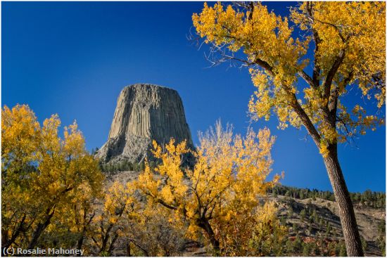 Missing Image: i_0020.jpg - Devils Tower and Fall Foliage