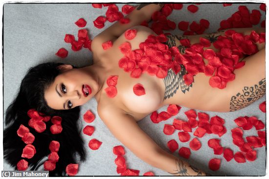 Missing Image: i_0032.jpg - Harley and Rose Petals