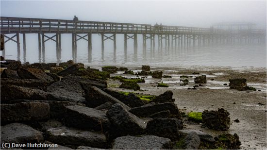 Missing Image: i_0060.jpg - Foggy Day at the Pier