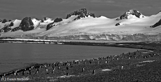 Missing Image: i_0064.jpg - Beach Colony