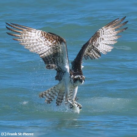 Missing Image: i_0004.jpg - Come-Fly-With-Me