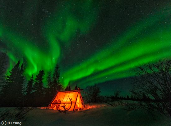 Missing Image: i_0020.jpg - Night in Wapusk