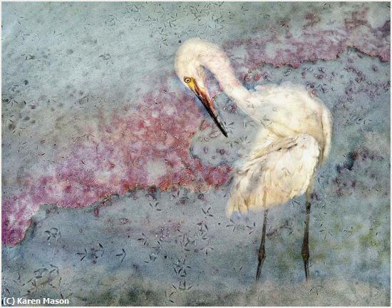 Missing Image: i_0023.jpg - TheEgret