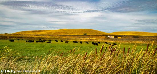 Missing Image: i_0035.jpg - Pastoral-Landscape