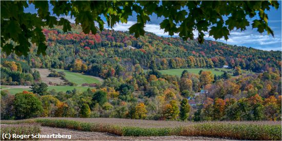 Missing Image: i_0047.jpg - Sweep of Autumn