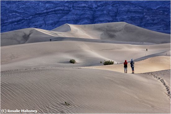 Missing Image: i_0034.jpg - Early Morning at the Dunes