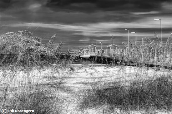 Missing Image: i_0063.jpg - View-throuth-the-Sea-Oats