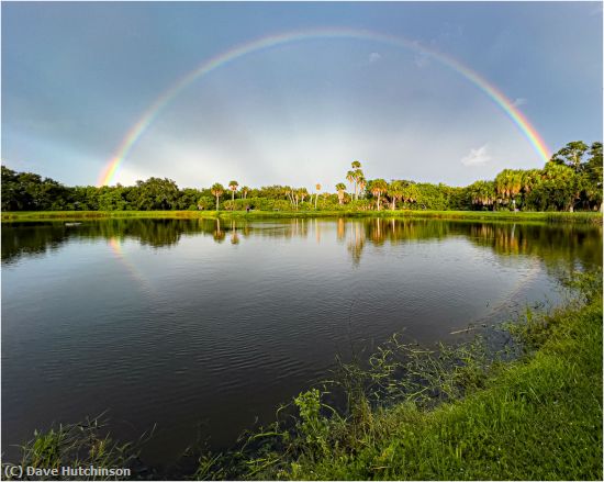 Missing Image: i_0036.jpg - Rainbow and Reflection Cooper's Bayo