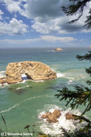 Missing Image: i_0039.jpg - Arch Rock Point, Harris Beach