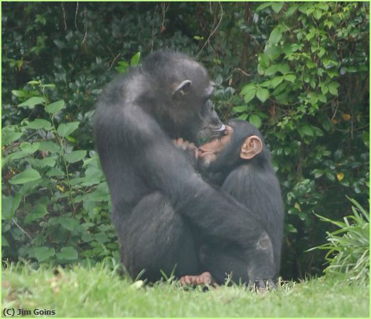 Missing Image: i_0018.jpg - Motherly-Love