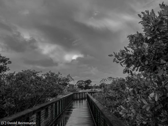 Missing Image: i_0069.jpg - Boardwalk
