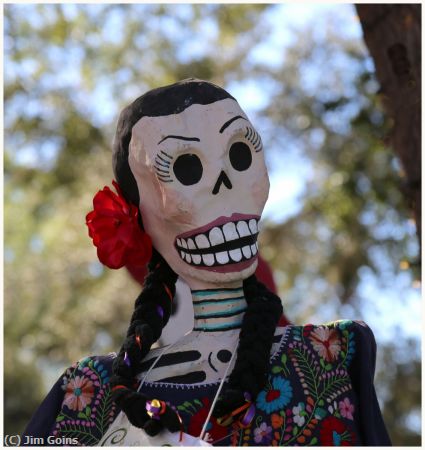 Missing Image: i_0034.jpg - Scary