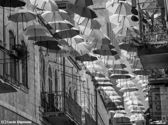 Missing Image: i_0067.jpg - BlowinInTheWind