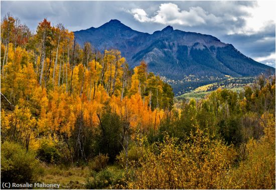 Missing Image: i_0026.jpg - Autumn In Colorado