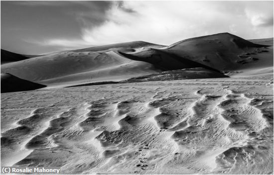 Missing Image: i_0070.jpg - Patterns in the Sand