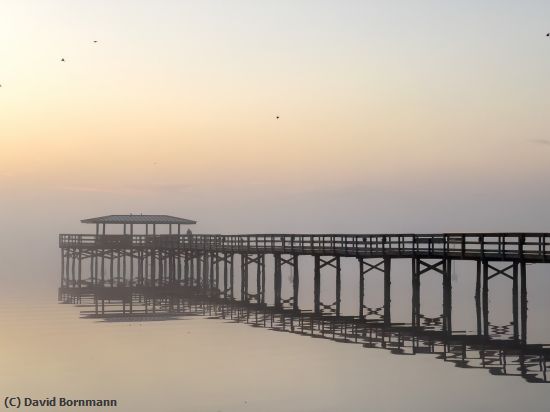 Missing Image: i_0002.jpg - Foggy Pier