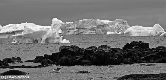 Missing Image: i_0059.jpg - Marine Hazards