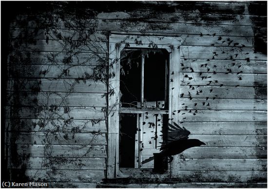 Missing Image: i_0067.jpg - KeepOut