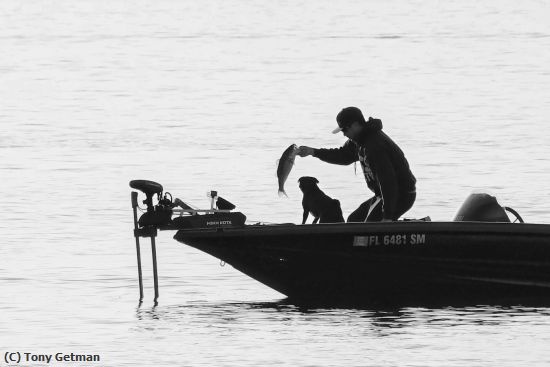 Missing Image: i_0069.jpg - Fishing with your dog