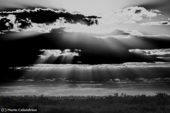 Missing Image: i_0076.jpg - God Rays Big Cypress