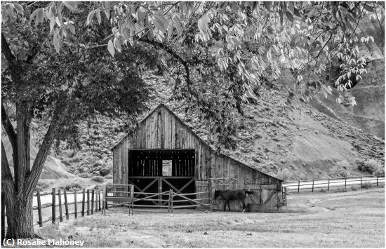 Missing Image: i_0079.jpg - Gifford Barn