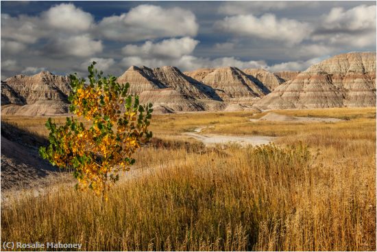 Missing Image: i_0003.jpg - Badlands in the Fall