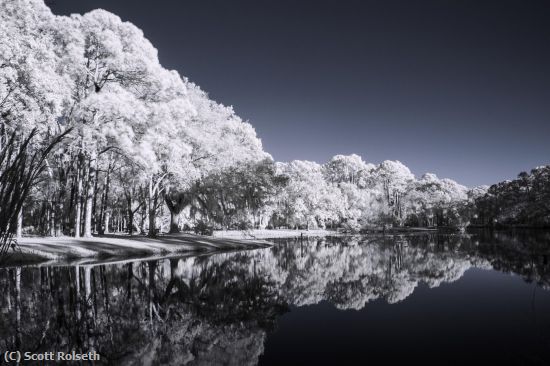 Missing Image: i_0005.jpg - Park Lake and Blue Sky