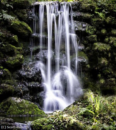 Missing Image: i_0022.jpg - Rainbow Springs Waterfall
