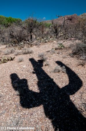 Missing Image: i_0024.jpg - Raise Em High