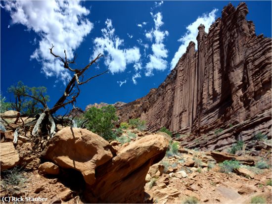 Missing Image: i_0058.jpg - Fisher Towers