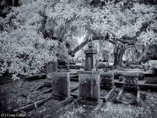 Missing Image: i_0079.jpg - The Honoured Dead