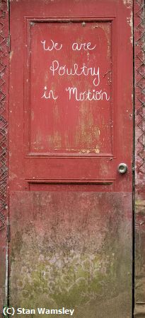 Missing Image: i_0043.jpg - PoultyDoor