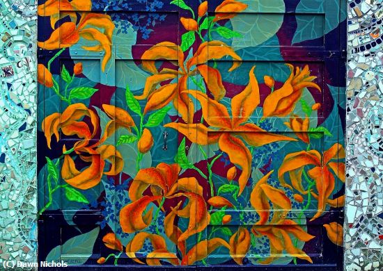 Missing Image: i_0050.jpg - Philly Floral