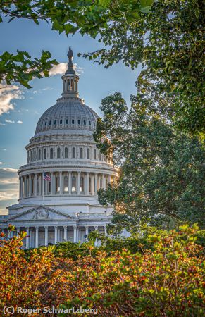 Missing Image: i_0011.jpg - Springtime at the Capitol