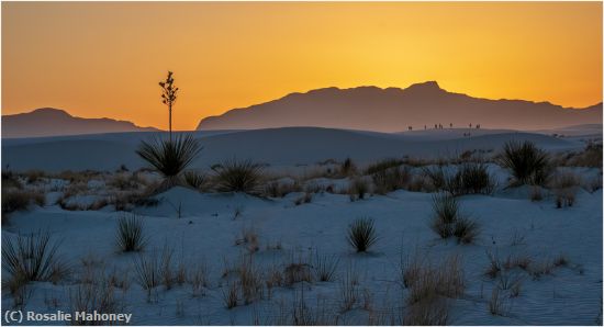 Missing Image: i_0024.jpg - Golden Sunset White Sands