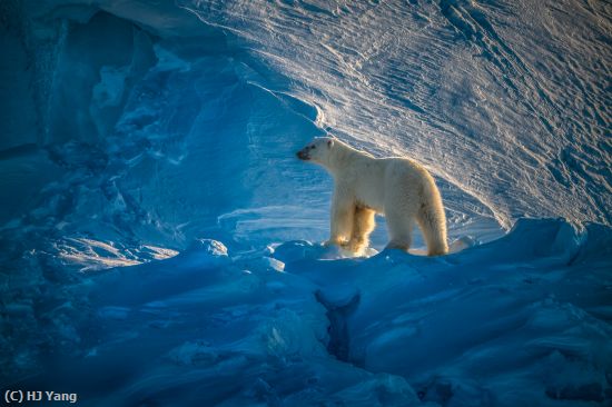 Missing Image: i_0028.jpg - On the giant iceberg