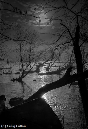 Missing Image: i_0060.jpg - Spring Flood Potomac