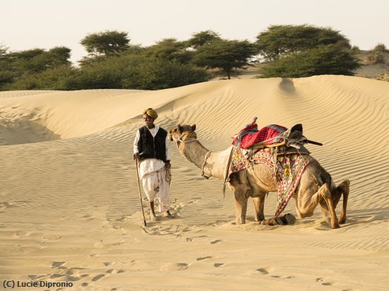 Missing Image: i_0019.jpg - Papajeen With Kneeling Camel