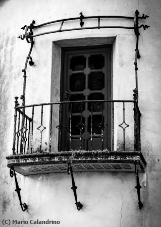 Missing Image: i_0077.jpg - Juliet's Not Home