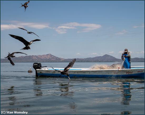 Missing Image: i_0022.jpg - FishingEnsenada
