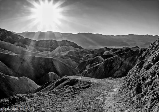 Missing Image: i_0071.jpg - Follow the Path