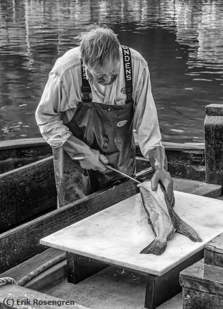 Missing Image: i_0076.jpg - Art-of-filleting