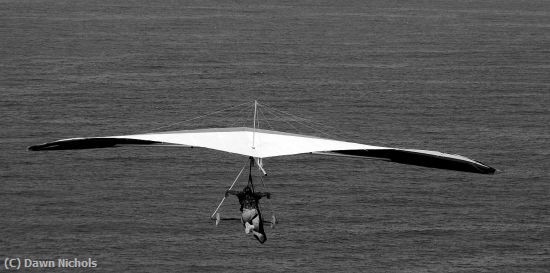 Missing Image: i_0083.jpg - Quiet Glide
