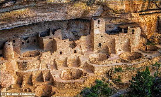 Missing Image: i_0036.jpg - Cliff Palace Mesa Verde