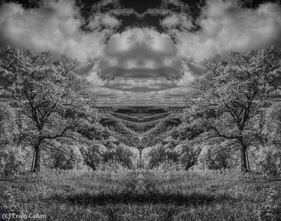 Missing Image: i_0071.jpg - Symetry Valley