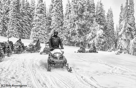 Missing Image: i_0073.jpg - Winter-in-Yellowstone