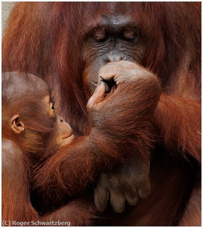 Missing Image: i_0022.jpg - Mother with Child