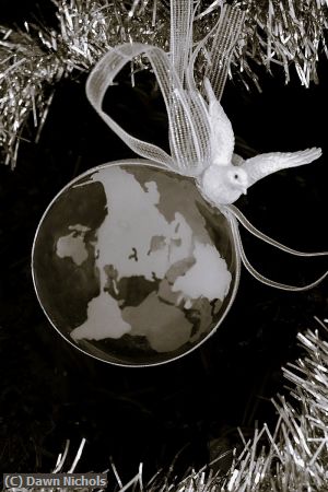 Missing Image: i_0044.jpg - Peace On Earth