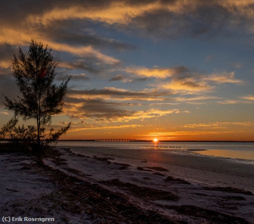 Missing Image: i_0047.jpg - Florida-Winter-Sunrise