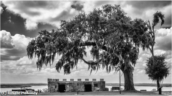 Missing Image: i_0061.jpg - Fort Frederica